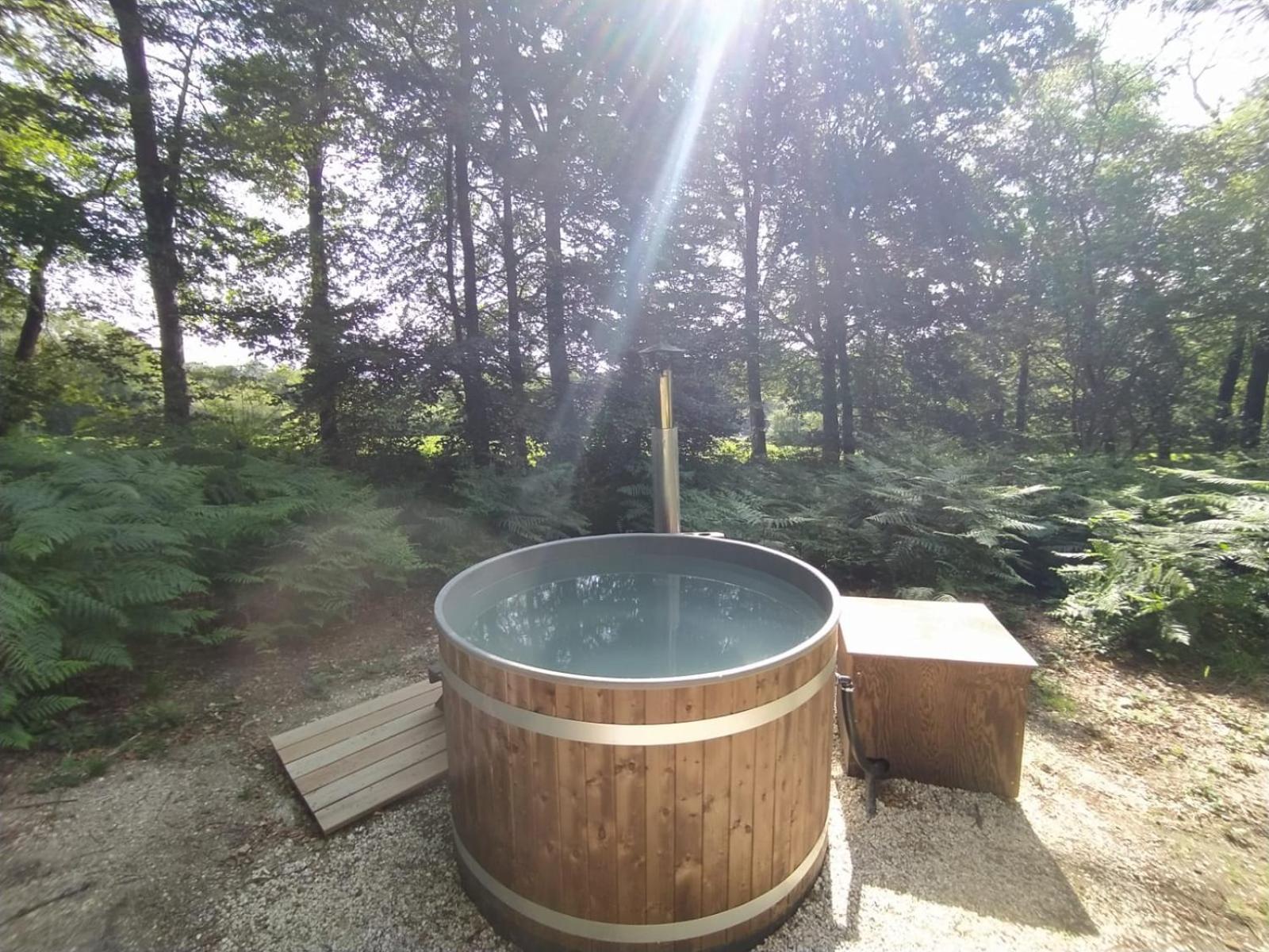 L'Etape En Foret Saint-Sever-Calvados Εξωτερικό φωτογραφία