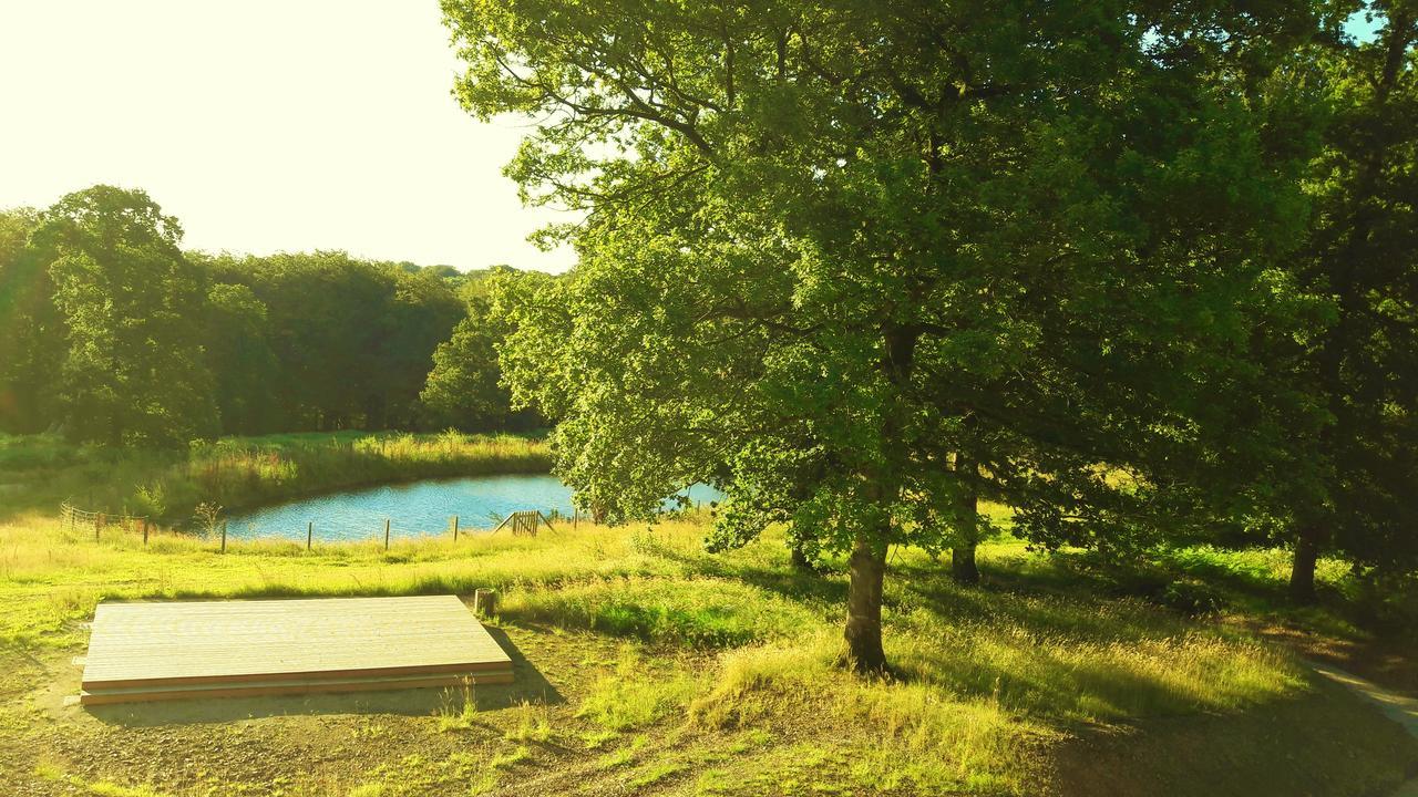 L'Etape En Foret Saint-Sever-Calvados Εξωτερικό φωτογραφία